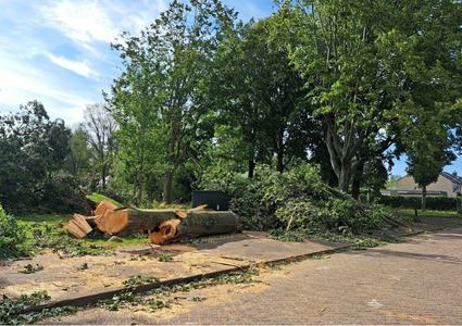 NOC-Poly- Stormschade omgewaaide bomen, Lepelaarpark